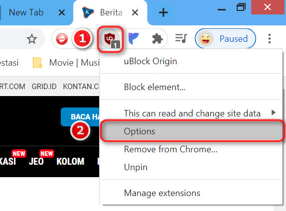ublock origin option